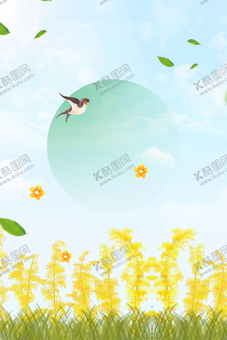 编号：51498809090349132665【酷图网】源文件下载-油菜花