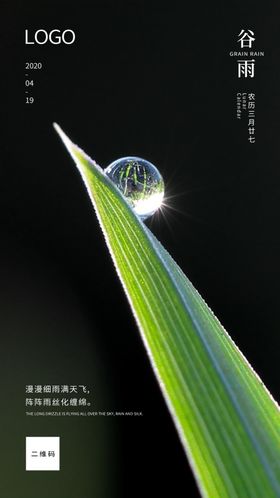 谷雨H5海报