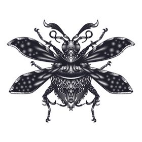 线描昆虫