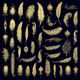 金色羽毛图案集合