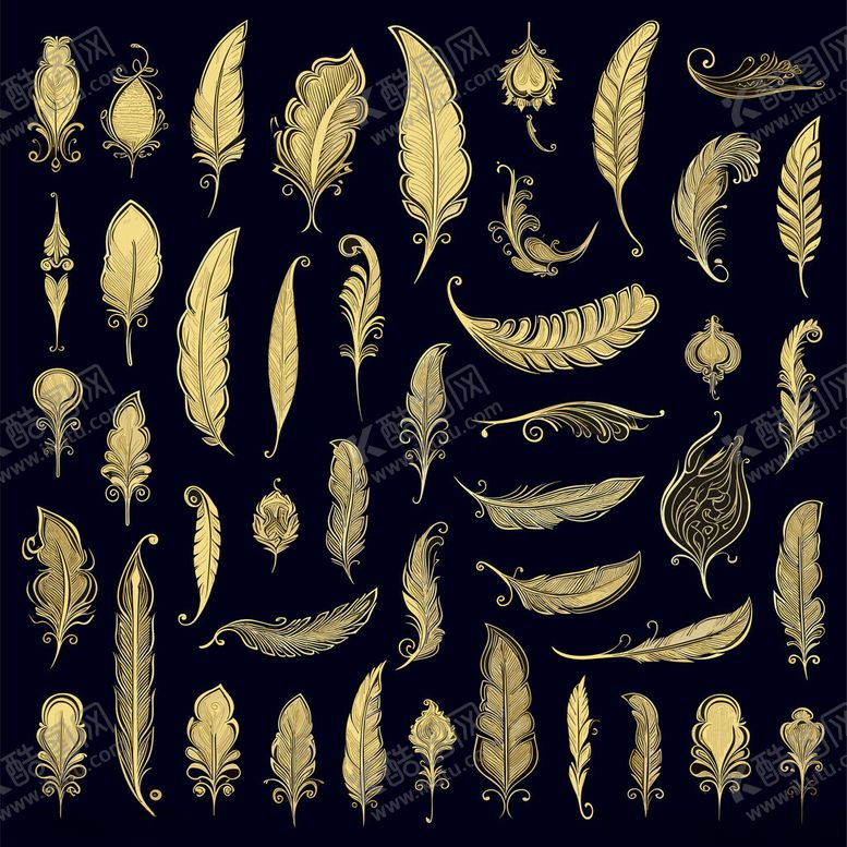 编号：96173711211247466053【酷图网】源文件下载-金色羽毛图案集合