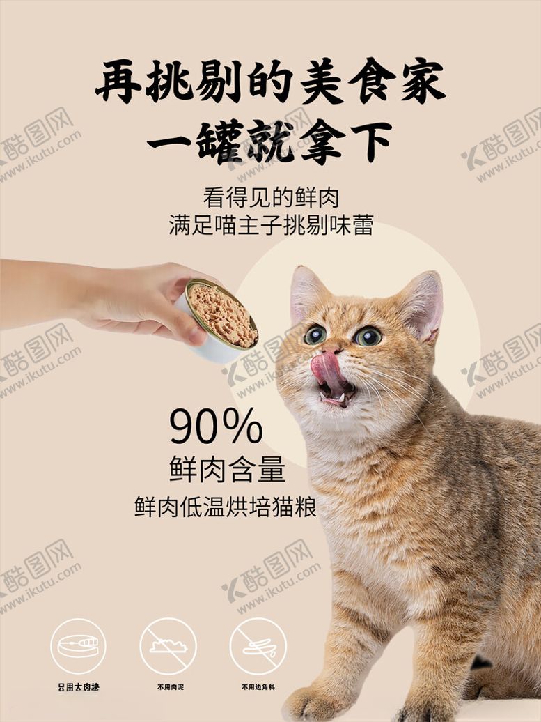 编号：70200601300101529596【酷图网】源文件下载-猫咪作品
