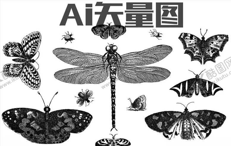编号：24251404280338396711【酷图网】源文件下载-昆虫动物世界