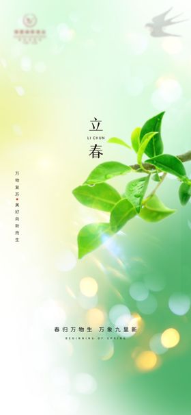 立春海报