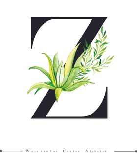 字母与水彩仙人掌组合字体