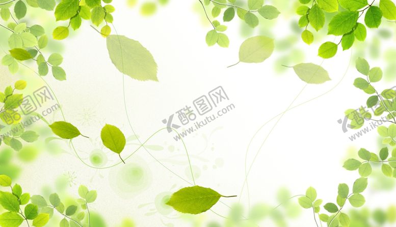 编号：62296705062000256417【酷图网】源文件下载-绿叶天空背景墙壁纸壁画