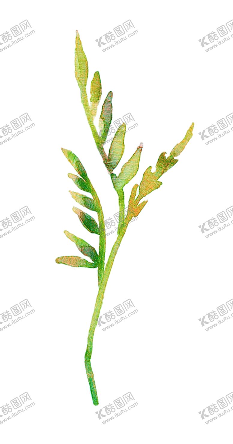 编号：49350407071647377501【酷图网】源文件下载-水彩植物