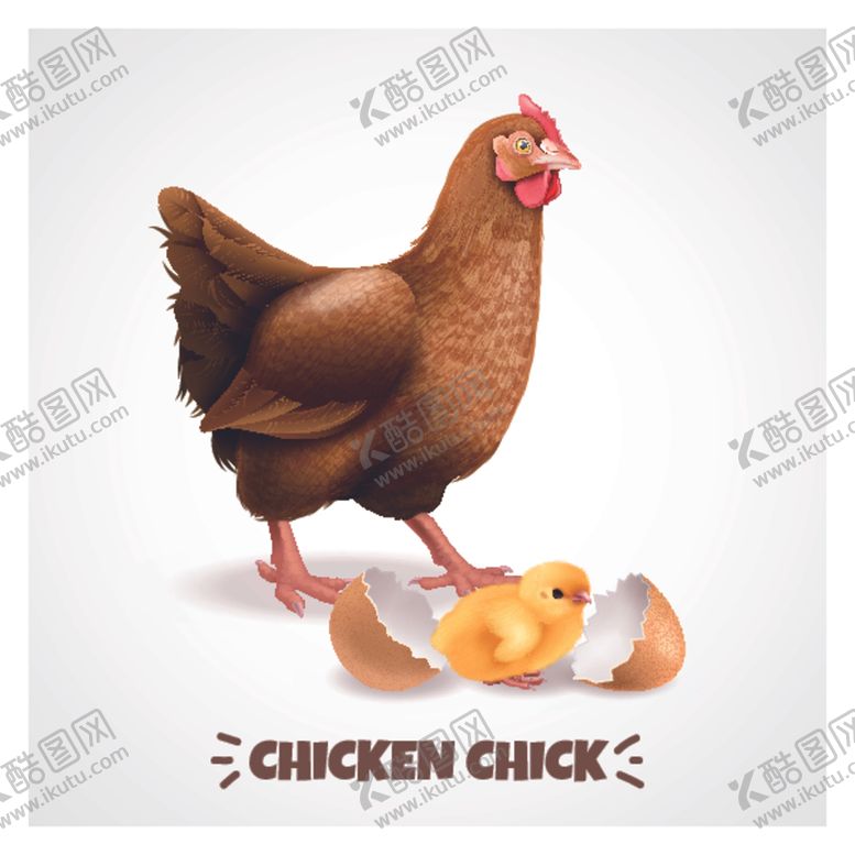 编号：91435209210737115229【酷图网】源文件下载-鸡卡通鸡鸡肉鸡蛋手绘鸡