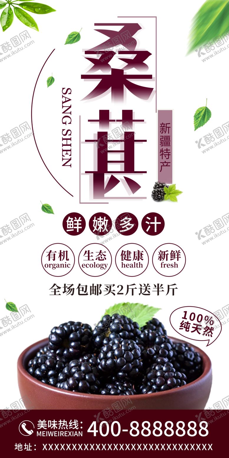编号：41127205050500039984【酷图网】源文件下载-桑葚