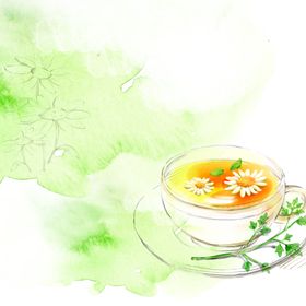 菊花茶水彩挂画装饰画