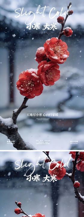 二十四节气大寒小寒海报