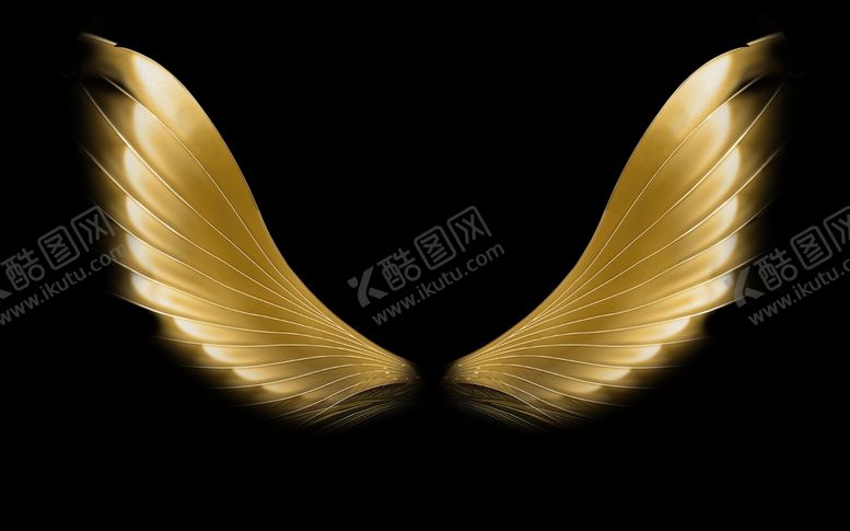 编号：21440810241735384063【酷图网】源文件下载-翅膀