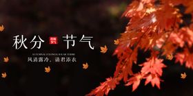 秋分传统节气活动海报素材