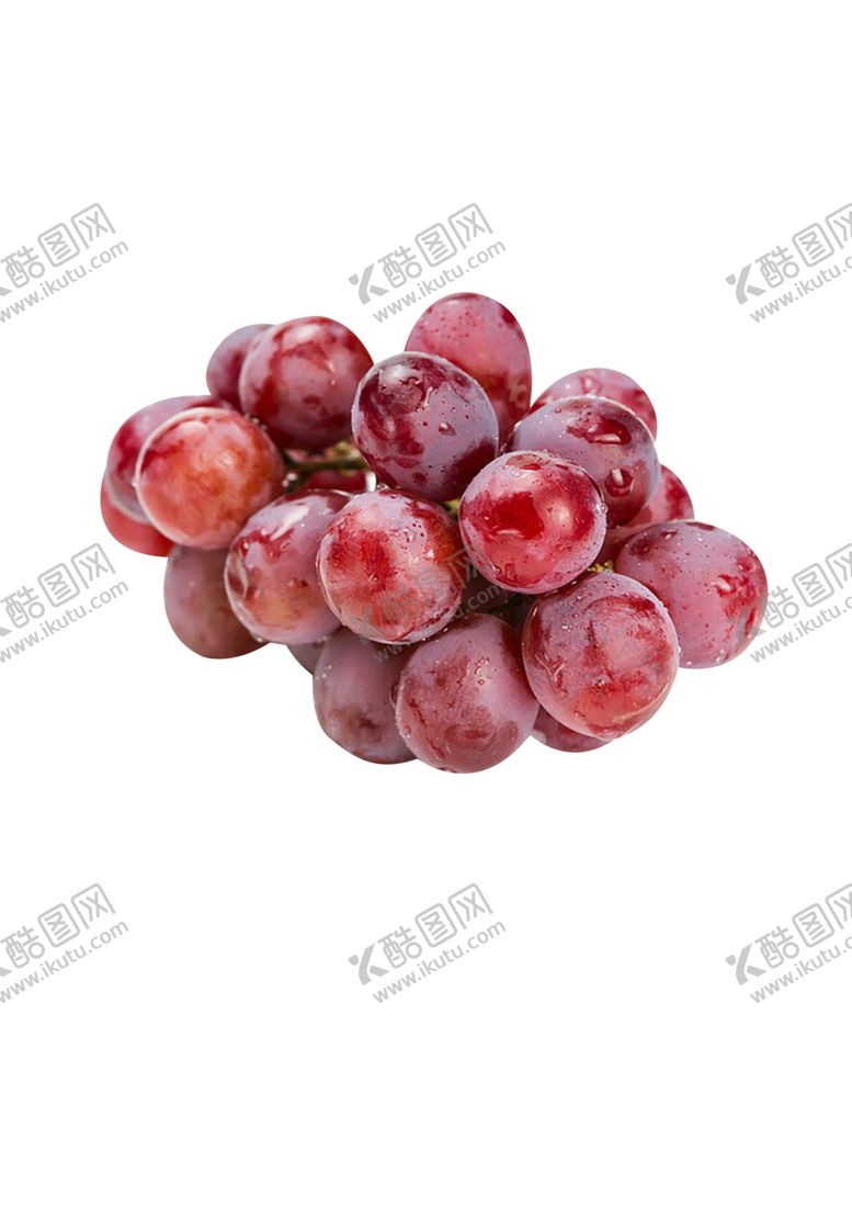 编号：27511909291504161947【酷图网】源文件下载-葡萄