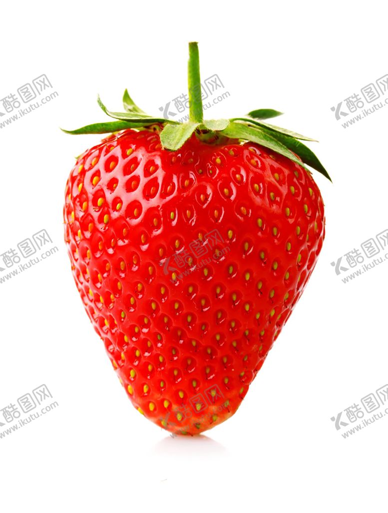 编号：53308009200331499298【酷图网】源文件下载-水果