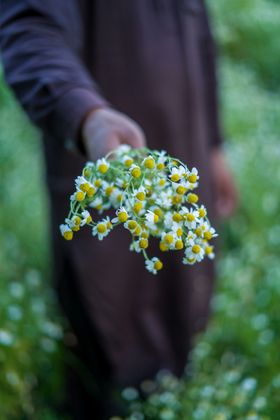 黄春菊