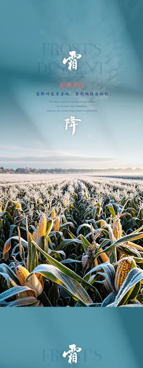 霜降简约海报玉米二十四节气
