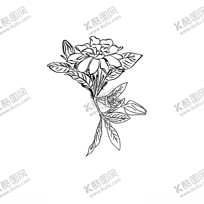 编号：51863303081628287661【酷图网】源文件下载-素描花矢量图花素材卡通图案