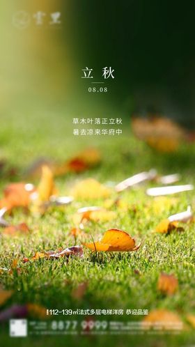 立秋节气刷屏