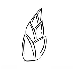 竹笋