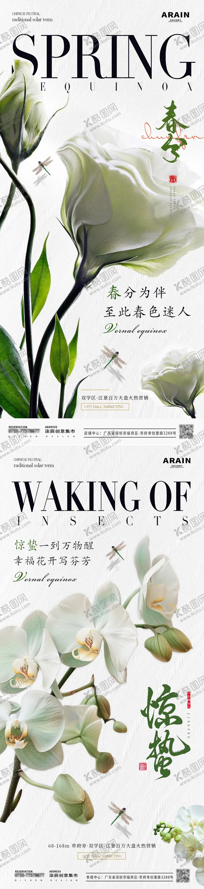编号：61166611272349521351【酷图网】源文件下载-地产惊蛰春分白色玫瑰花海报