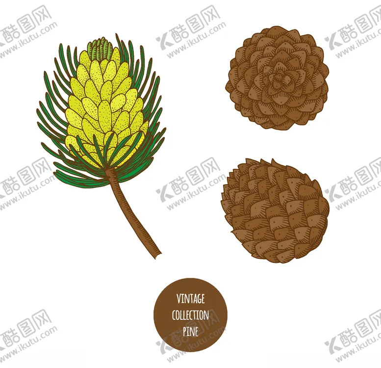 编号：28317606181452334365【酷图网】源文件下载-植物线稿