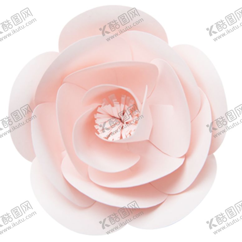 编号：27458906250255368404【酷图网】源文件下载-手绘植物花卉