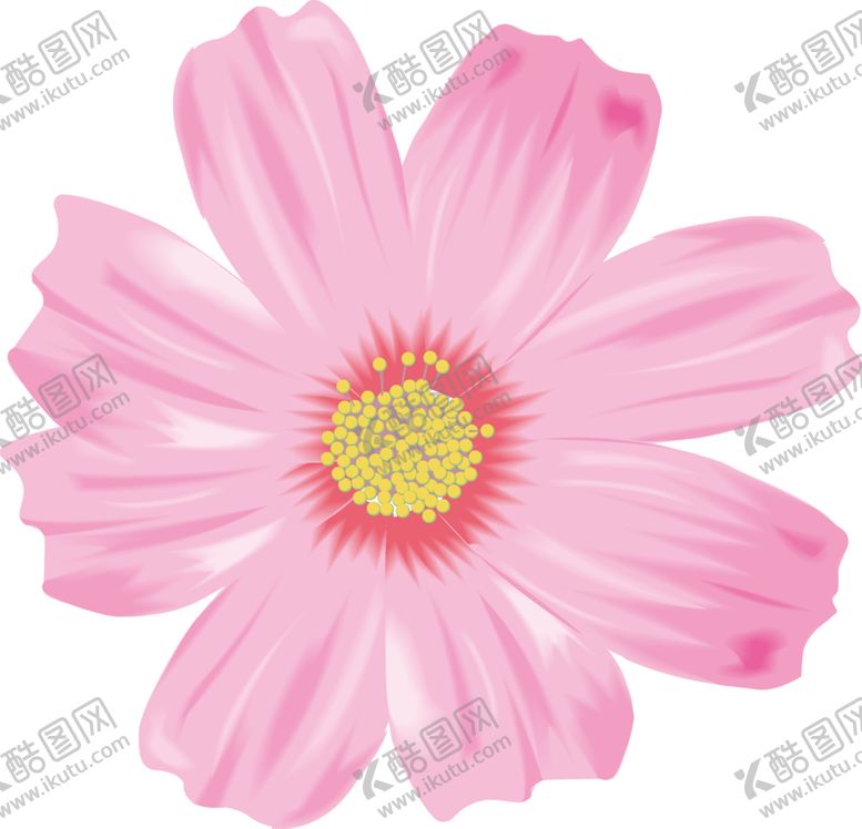编号：91312706271055533291【酷图网】源文件下载-鲜花素材