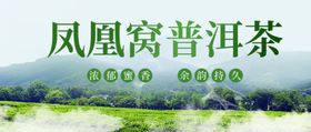 普洱茶banner