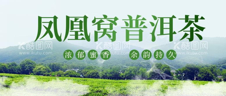 编号：49309012030311416116【酷图网】源文件下载-普洱茶banner