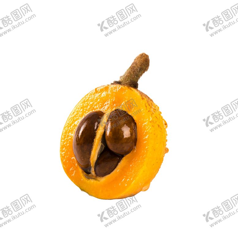 编号：84352609172152411593【酷图网】源文件下载-枇杷