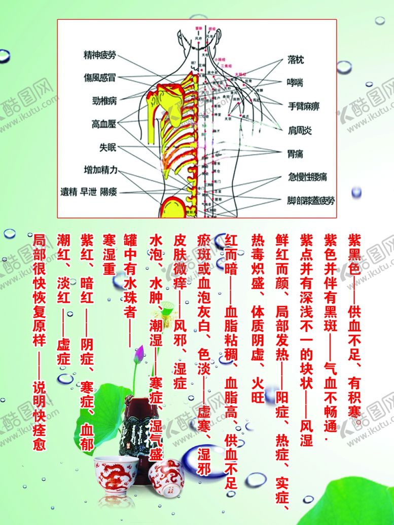 编号：82404807061022465753【酷图网】源文件下载-养生展板