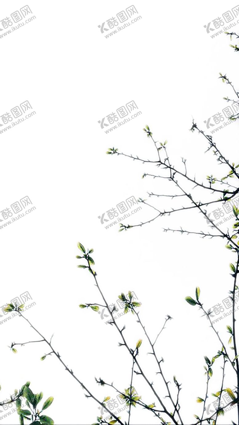 编号：40307010210549433155【酷图网】源文件下载-绿色背景