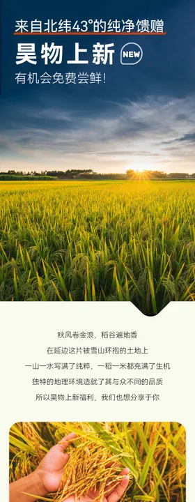 大米详情页长图