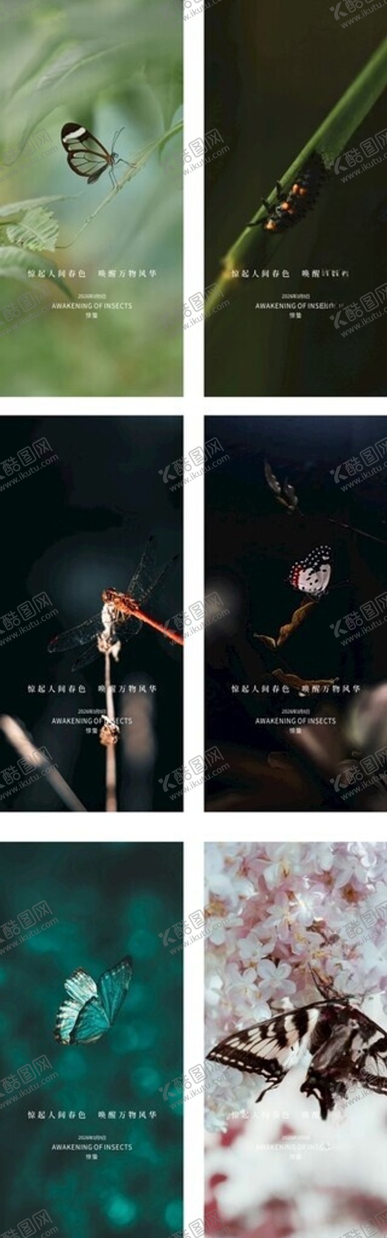 编号：57619005250428033422【酷图网】源文件下载-惊蛰海报