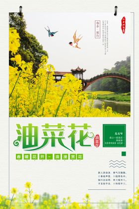 编号：68704109240534072615【酷图网】源文件下载-油菜花海报