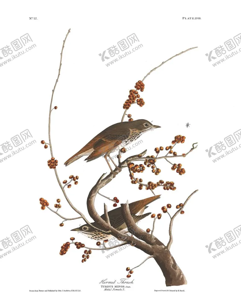 编号：79713512031856491164【酷图网】源文件下载-油画