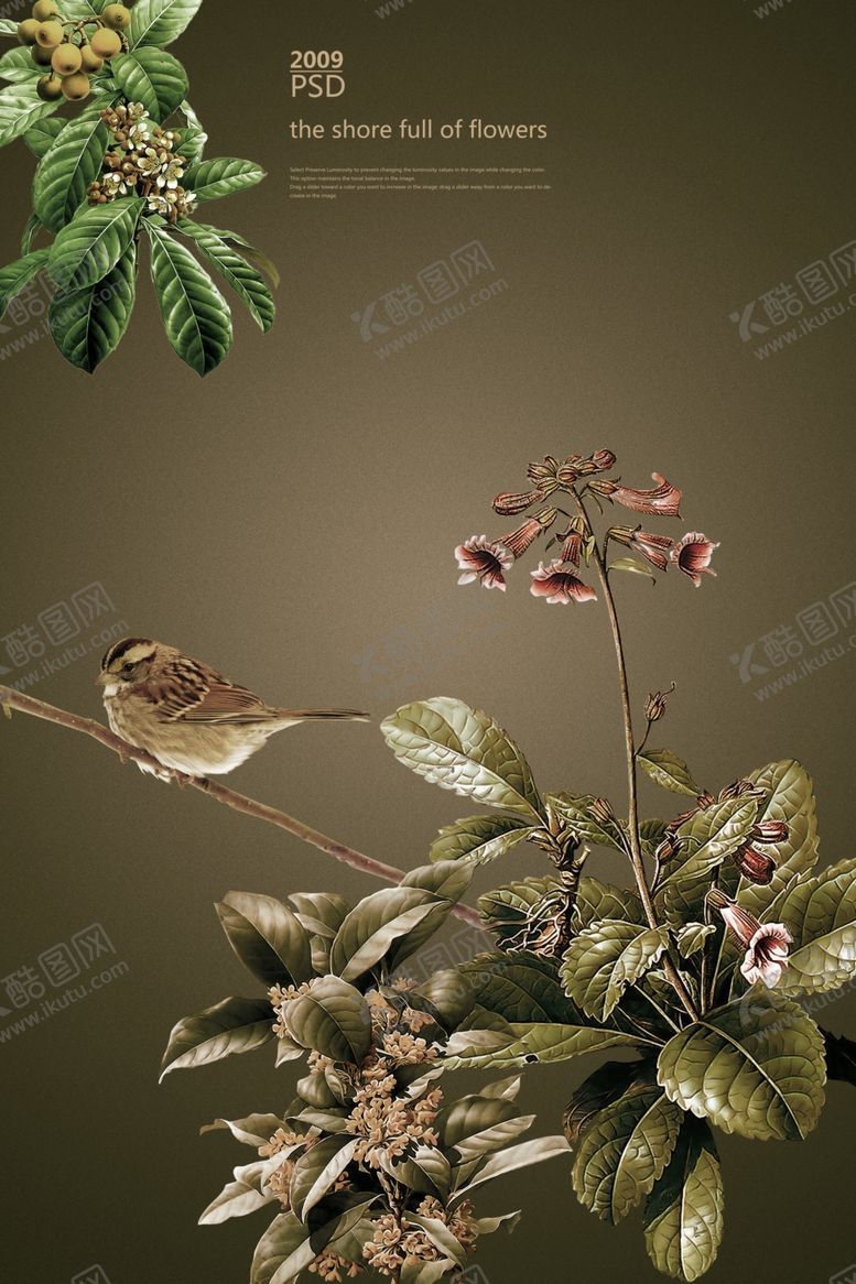 编号：54975810012159552603【酷图网】源文件下载-花卉地产广告