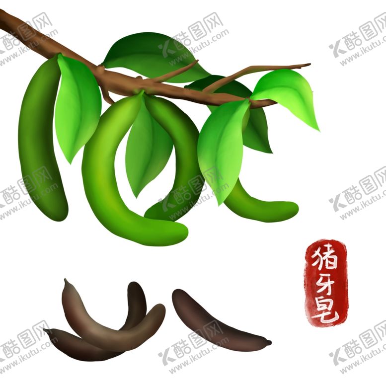 编号：68923402070136552347【酷图网】源文件下载-手绘猪牙皂