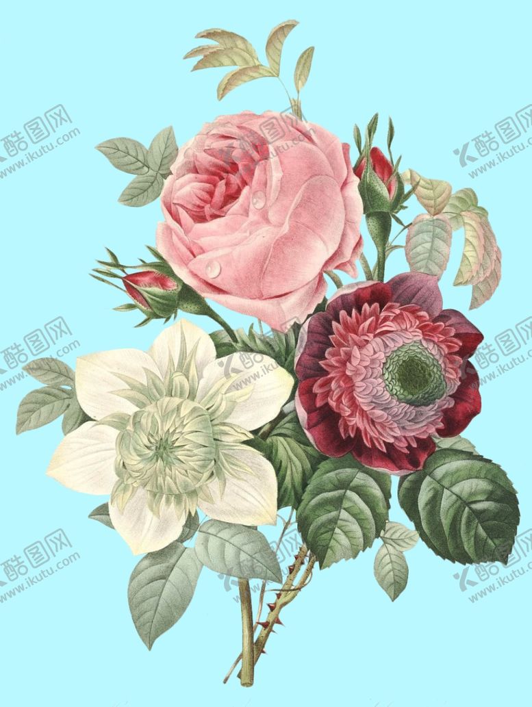 编号：19725109241939582167【酷图网】源文件下载-手绘花