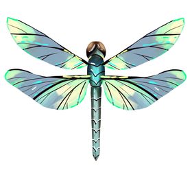 蜻蜓