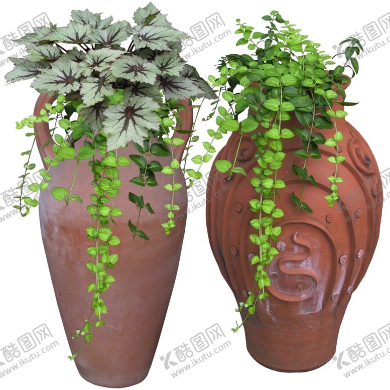 编号：89743309271128284119【酷图网】源文件下载-免扣植物树木素材图片