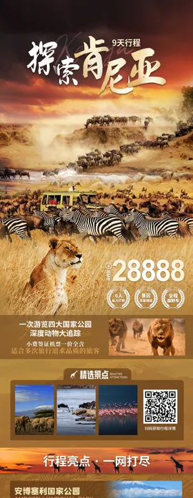 非洲动物大迁徙商业活动海报
