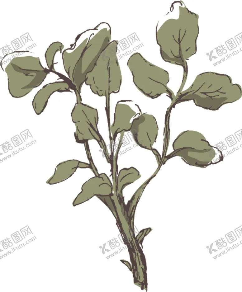 编号：55081307051929061775【酷图网】源文件下载-素描鲜花