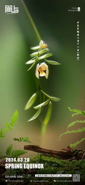 酒吧节气春分海报