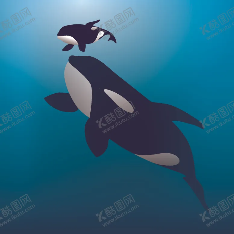 编号：11262907061943426354【酷图网】源文件下载-鲸鱼