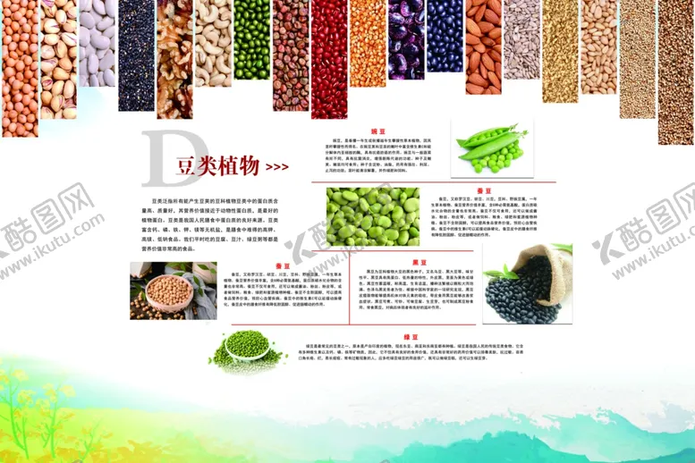 编号：19170006301813515603【酷图网】源文件下载-豆类植物