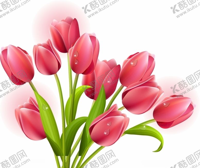 编号：13045104200306212330【酷图网】源文件下载-花朵矢量