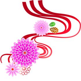 鲜花素材矢车菊店装饰唯美
