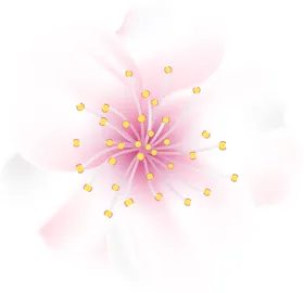 写实花卉鲜水彩朵素材插画插图